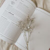 Pamiętnik ciąży – oh mama  Mommy Planner - obrazek 3