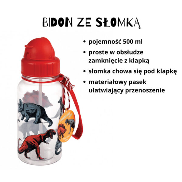 Zestaw śniadaniowy lunchbox i bidon Dinozaury, Rex London - obrazek 5