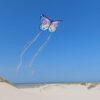 Latawiec maxi MOTYL Djeco - obrazek 3