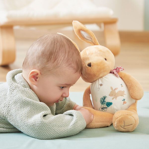 Przytulanka szeleszcząca Królik 28 cm w pudełku Kaloo - obrazek 5