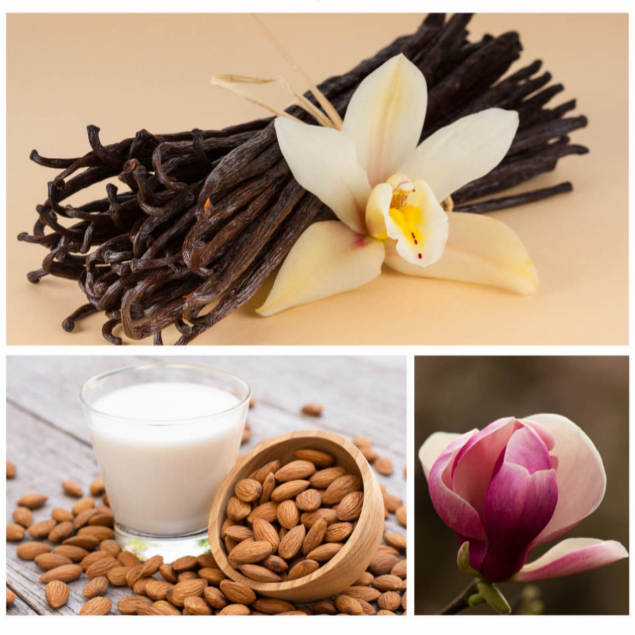 PIANKA DO KĄPIELI 60G - NIE, NIE DZISIAJ! - DRESDNER ESSENZ - obrazek 2