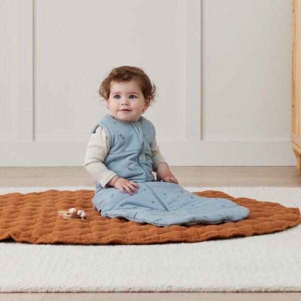 ŚPIWOREK JERSEY 3-12M 2.5TOG DRAGONFLIES ERGOPOUCH - obrazek 2