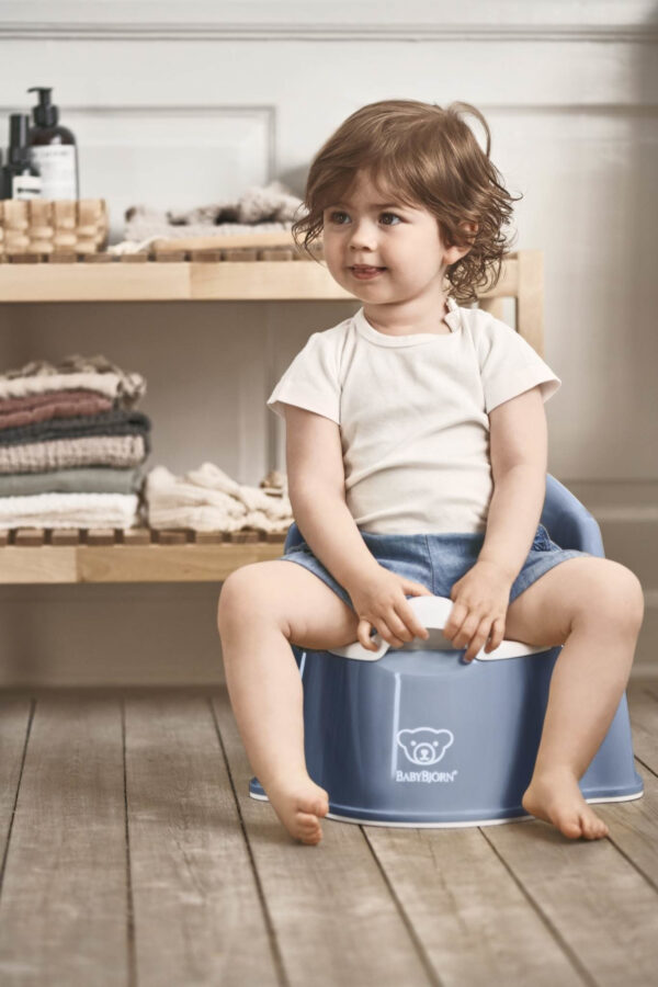 Nocnik fotelik KOLORY BABYBJORN