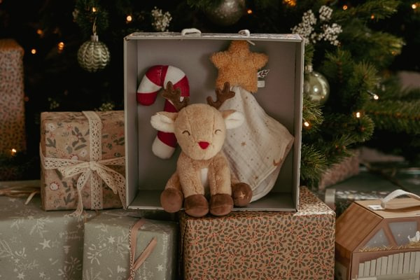 Zestaw prezentowy X-MAS Little Dutch - obrazek 2