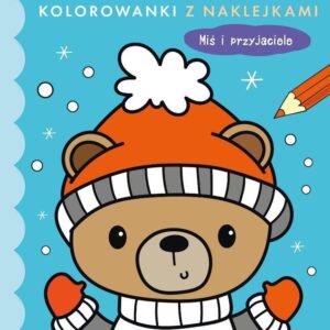 Zimowe kolorowanki z naklejkami WARIANTY
