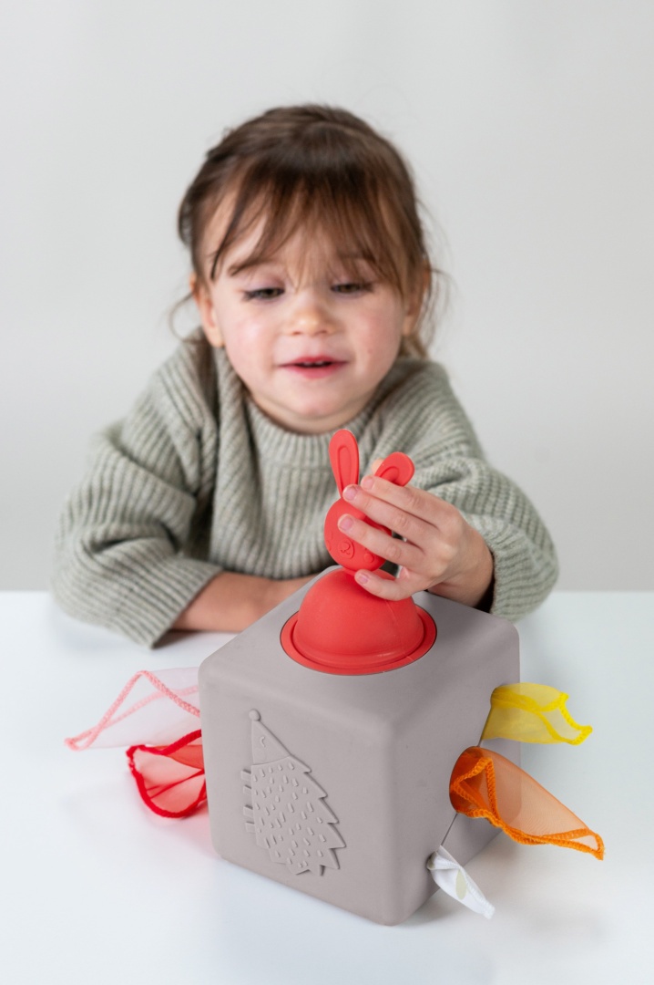 Pojemnik z Wyskakującymi Chusteczkami Taf Toys - obrazek 2
